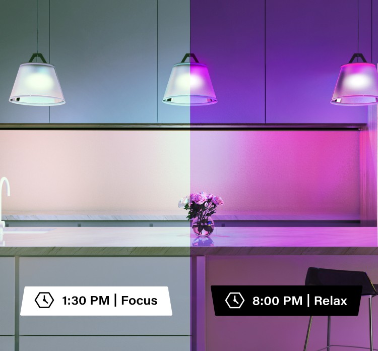 Set Schedules & Light Alarms